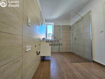 Pronájem bytu 1+1 Hodonín, Kolískova č. 2