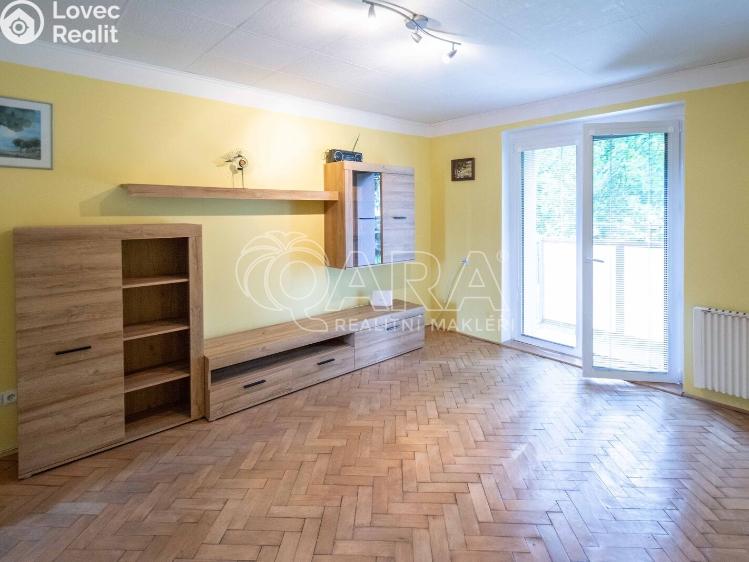 Pronájem bytu 1+1 Neratovice, Vančurova 697 č. 3