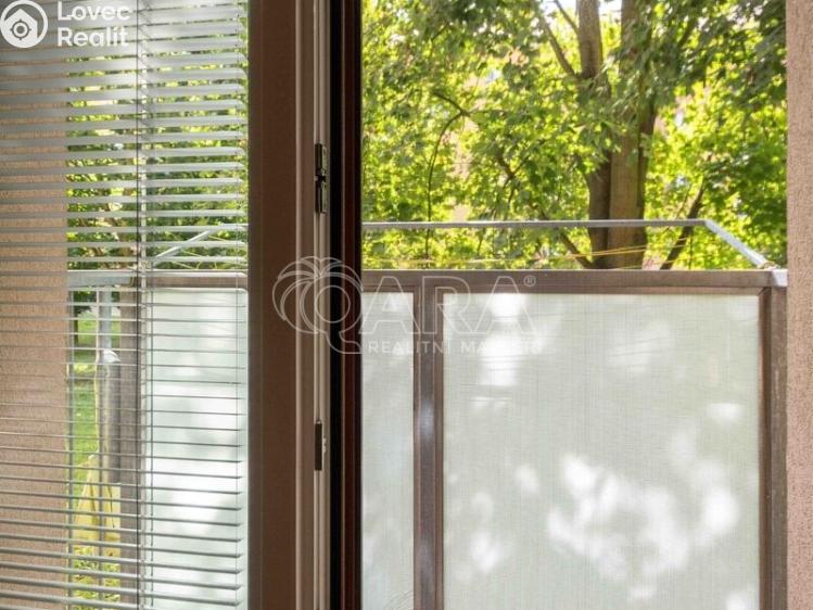 Pronájem bytu 1+1 Neratovice, Vančurova 697 č. 10