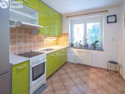 Pronájem bytu 1+1 Neratovice, Vančurova 697 č. 2