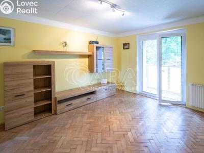 Pronájem bytu 1+1 Neratovice, Vančurova 697 č. 3