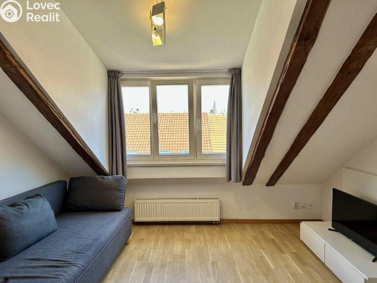 Pronájem bytu 3+KK Praha, Neklanova č. 1