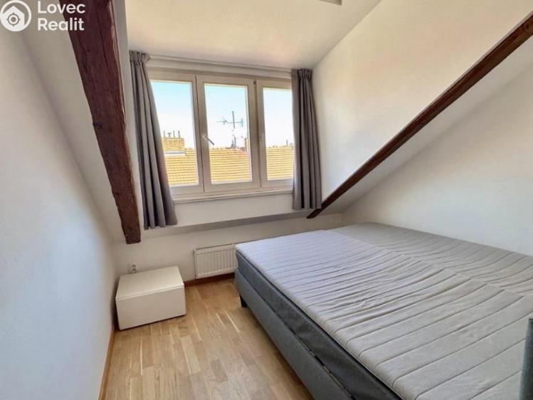 Pronájem bytu 3+KK Praha, Neklanova č. 7