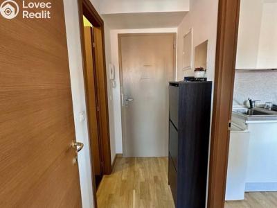 Pronájem bytu 3+KK Praha, Neklanova č. 6