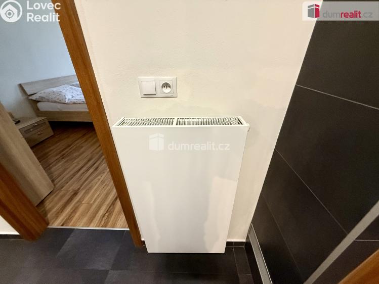 Pronájem bytu 2+1 Mariánské Lázně, Hlavní třída č. 21