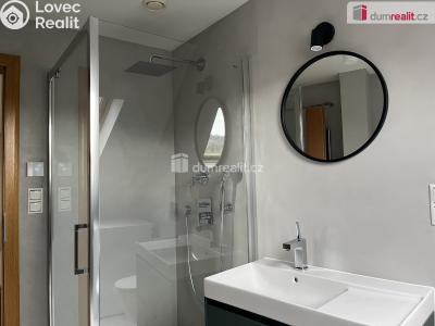 Rent apartment 3+KK Mariánské Lázně, Křižíkova č. 12