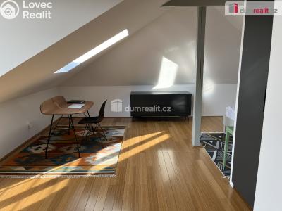 Rent apartment 3+KK Mariánské Lázně, Křižíkova č. 22