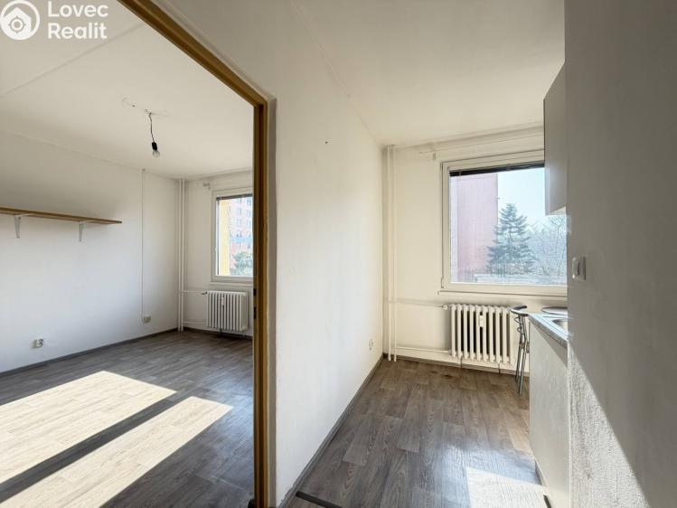 Pronájem bytu 1+1 Pardubice, Lidmily Malé 822 č. 7