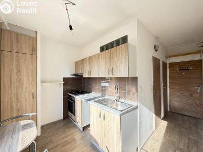 Pronájem bytu 1+1 Pardubice, Lidmily Malé 822 č. 2