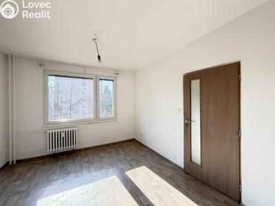 Pronájem bytu 1+1 Pardubice, Lidmily Malé 822 č. 3