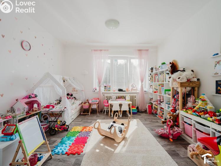 Prodej vícegeneračního domu Pardubice č. 19