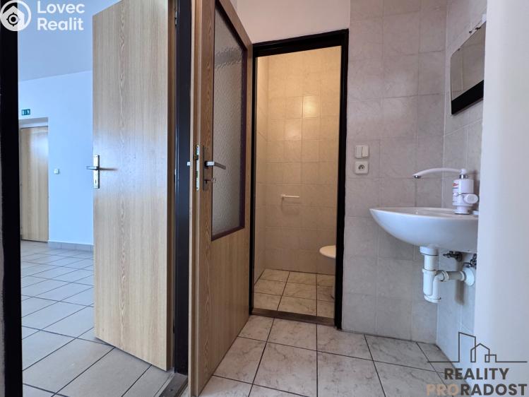 Rent office space Hodonín, Národní třída č. 6