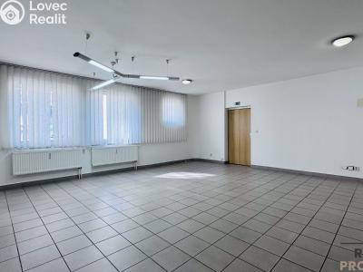 Rent office space Hodonín, Národní třída č. 2