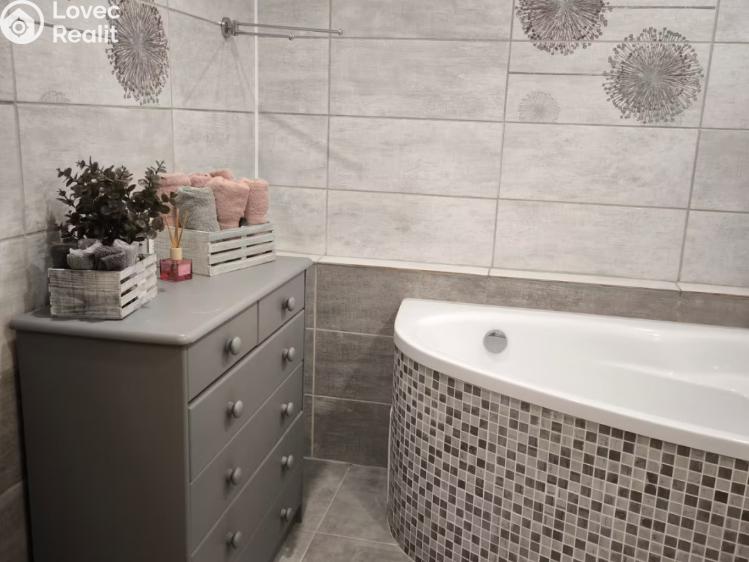 Pronájem bytu 2+1 Karlovy Vary, Vítězná č. 11