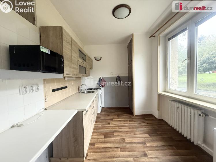 Pronájem bytu 2+1 Roudnice nad Labem, Michálkova č. 2