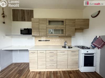 Pronájem bytu 2+1 Roudnice nad Labem, Michálkova č. 1