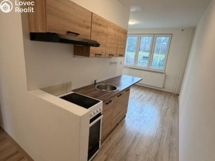 Pronájem bytu 2+1 Chomutov, Školní pěšina č. 1