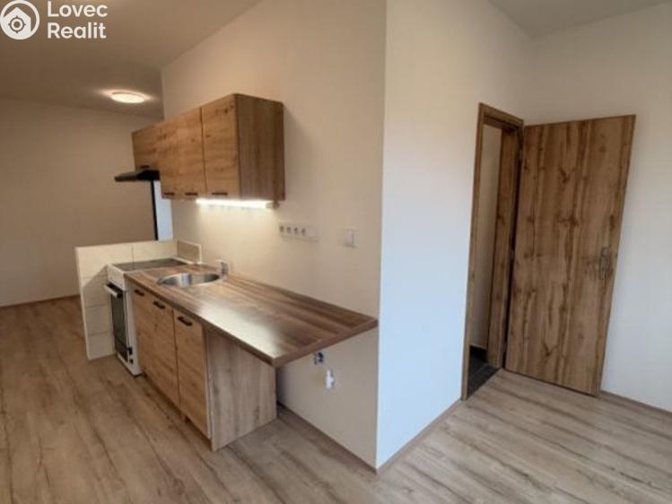 Pronájem bytu 2+1 Chomutov, Školní pěšina č. 2