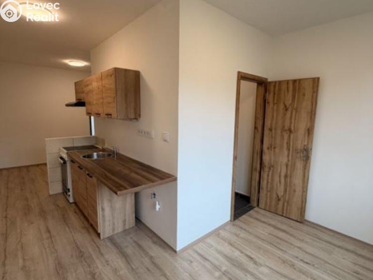 Pronájem bytu 2+1 Chomutov, Školní pěšina č. 3