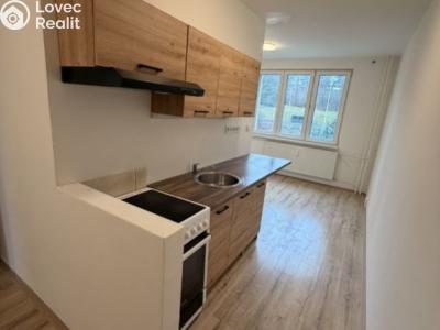 Pronájem bytu 2+1 Chomutov, Školní pěšina č. 1