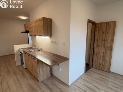 Pronájem bytu 2+1 Chomutov, Školní pěšina č. 2