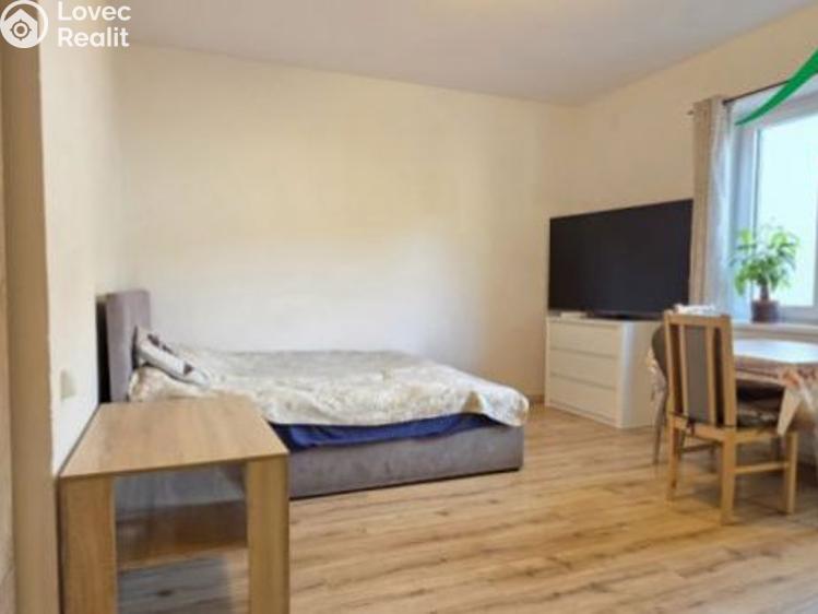 Pronájem bytu 1+KK Tachov, Boženy Němcové č. 1