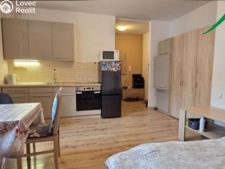 Pronájem bytu 1+KK Tachov, Boženy Němcové č. 2