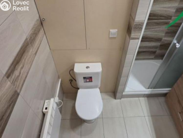 Pronájem bytu 1+KK Tachov, Boženy Němcové č. 4