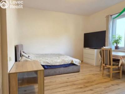 Pronájem bytu 1+KK Tachov, Boženy Němcové č. 1