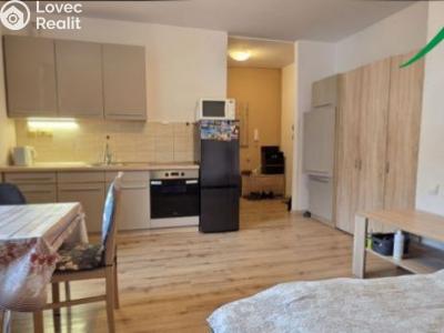 Pronájem bytu 1+KK Tachov, Boženy Němcové č. 2