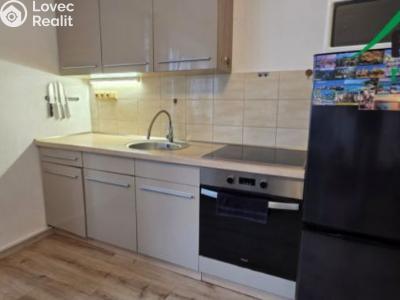 Pronájem bytu 1+KK Tachov, Boženy Němcové č. 3