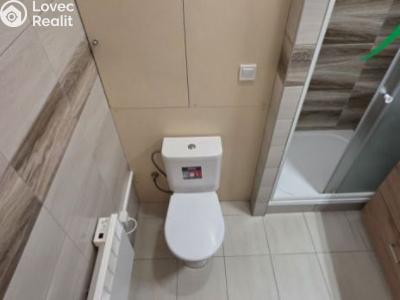 Pronájem bytu 1+KK Tachov, Boženy Němcové č. 4