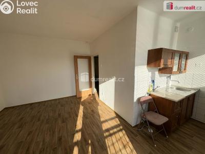 Pronájem bytu 1+KK Příbram, Riegrova č. 3