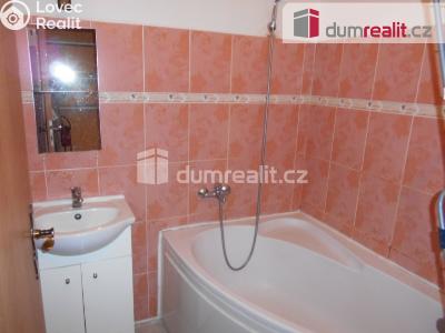 Pronájem bytu 1+KK Příbram, Dlouhá č. 3