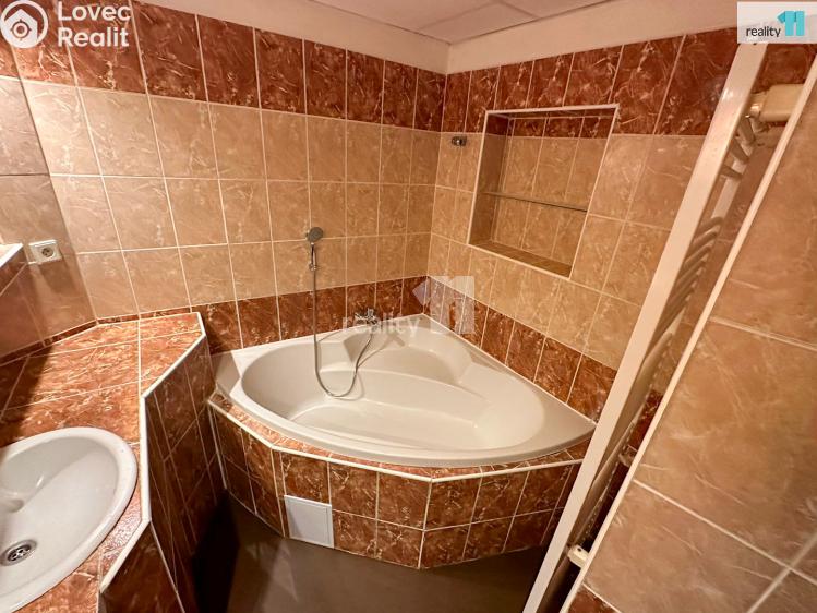 Pronájem bytu 3+KK Dobřany, Lipová č. 25