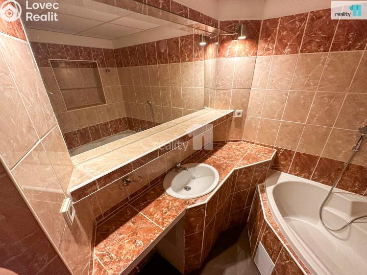 Pronájem bytu 3+KK Dobřany, Lipová č. 27