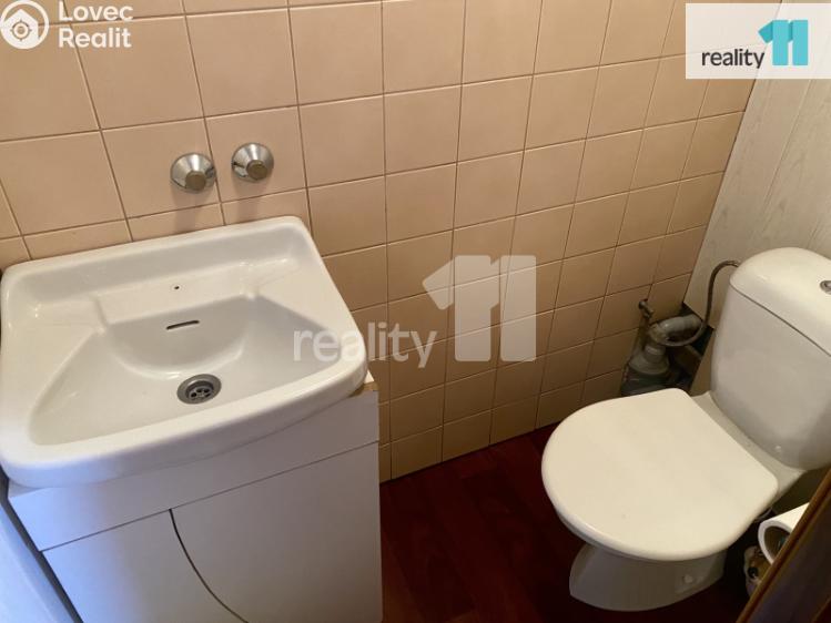 Pronájem bytu 3+KK Dobřany, Lipová č. 28