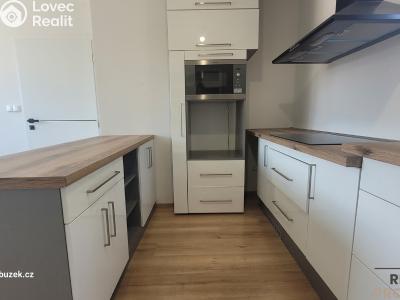 Продажа семейного дома Protivanov, Na Dolině č. 6