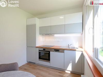 Prodej bytu 3+1 Liberec, Na Jezírku č. 58