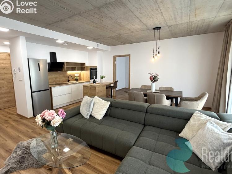 Pronájem bytu 4+KK Srubec č. 2