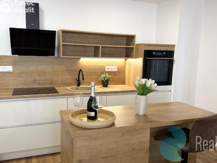 Pronájem bytu 4+KK Srubec č. 3