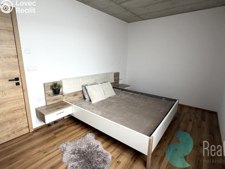 Pronájem bytu 4+KK Srubec č. 9