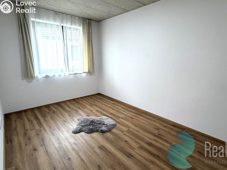 Pronájem bytu 4+KK Srubec č. 11