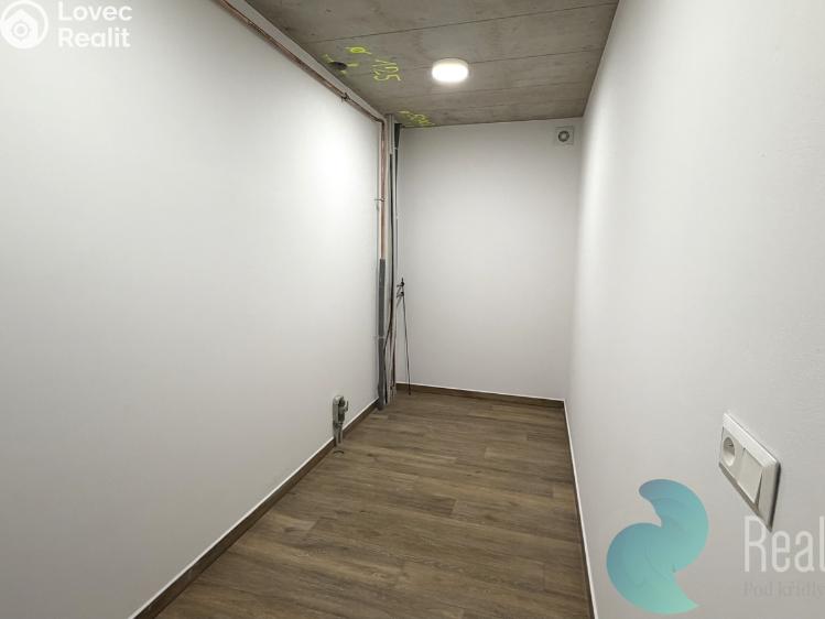 Pronájem bytu 4+KK Srubec č. 13