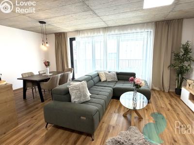 Pronájem bytu 4+KK Srubec č. 1