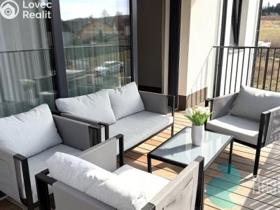 Pronájem bytu 4+KK Srubec č. 4