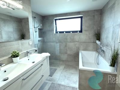 Pronájem bytu 4+KK Srubec č. 6