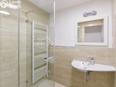 Аренда квартиры 2+KK Praha, Radomská č. 4