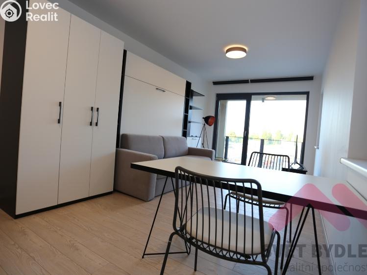 Rent apartment 1+KK Praha, U Mlýnského kanálu 699/18 č. 4