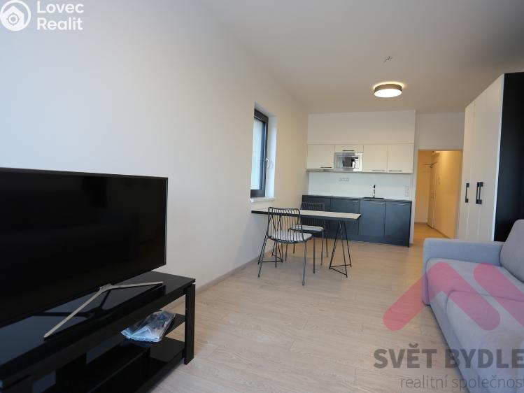 Rent apartment 1+KK Praha, U Mlýnského kanálu 699/18 č. 5